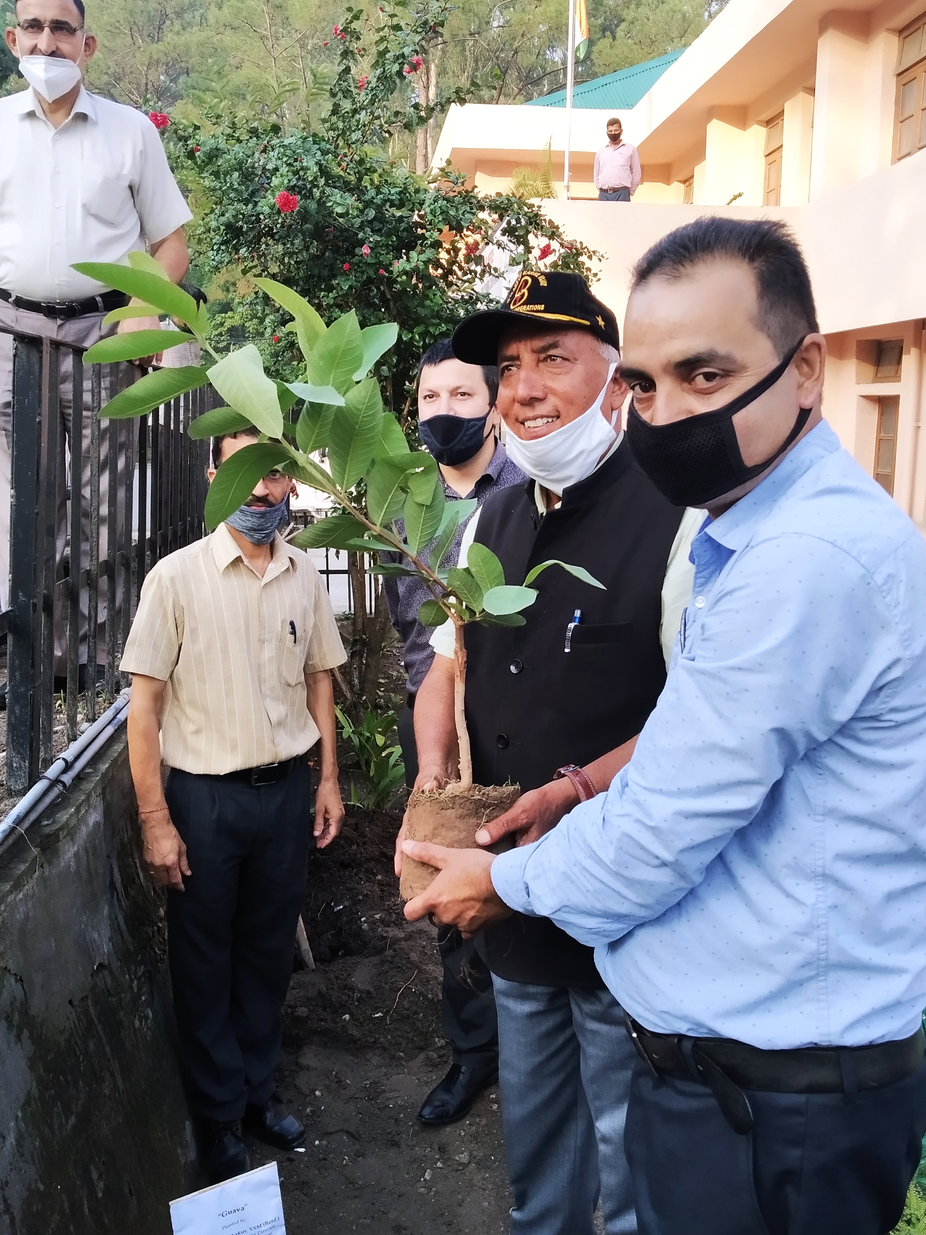 Plantation Drive by HIMPESCO