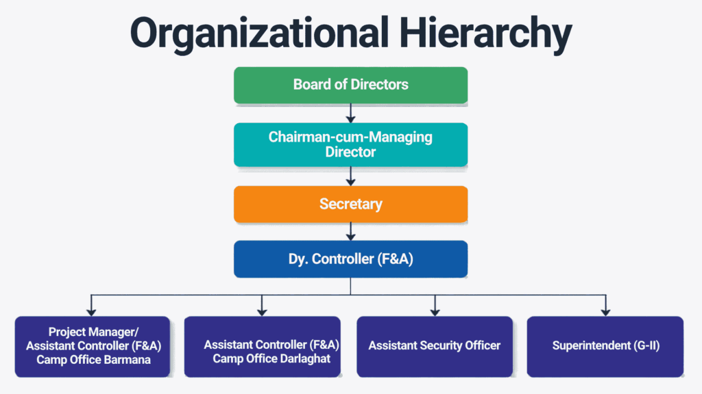 organisation structure
